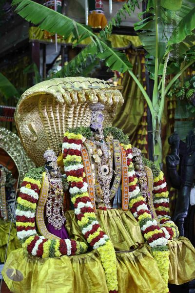 File:20161219 Photo 3344 1uNfx fcaJKBCIHZqqhV1nTnYE7DZUEXJ.JPG