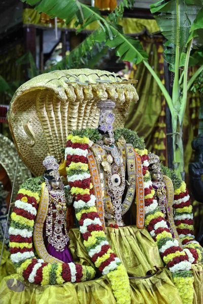 File:20161219 Photo 3345 12bWTY3RWQ5HqKbeU4mVbJ07e6z-O Nsg.JPG