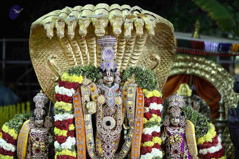 File:20161219 Photo 3346 1vaIPwVXpdzI6UiFtI7THd6I0ZrK0yfAn.JPG