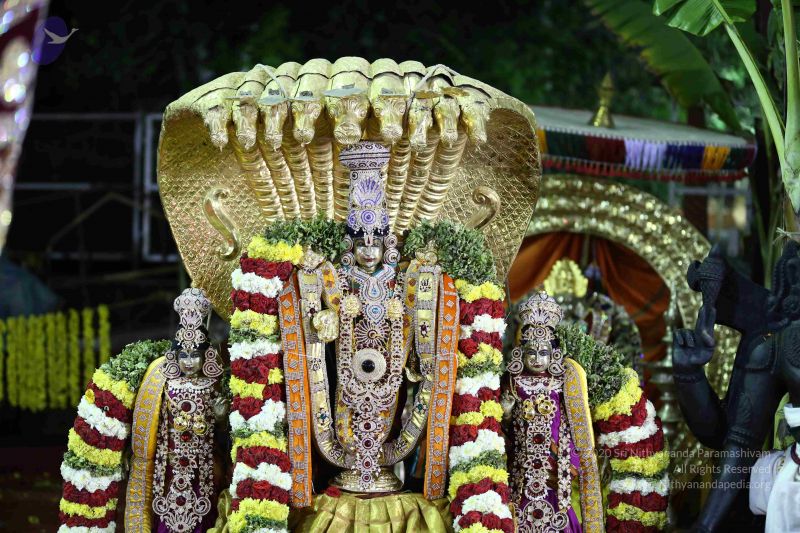 File:20161219 Photo 3347 17bkhZjRLvvtSooeDMejCheDlLFwlVzoS.JPG