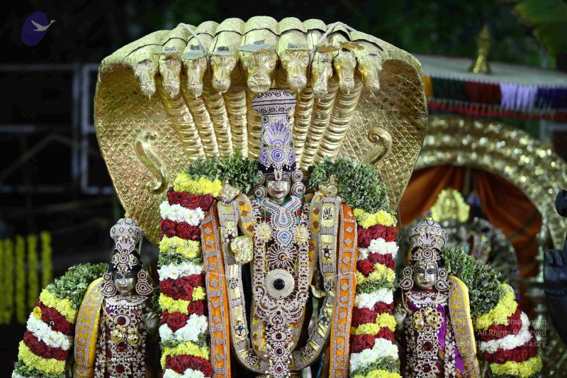 File:20161219 Photo 3348 1s7zuD-6swMWNtsw1ec8vGBXC9WFRUUxq.JPG