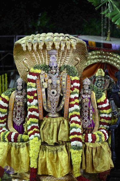 File:20161219 Photo 3352 1j0g2aM1wjF05k0sDZHXd0XUUXlXMZMHt.JPG