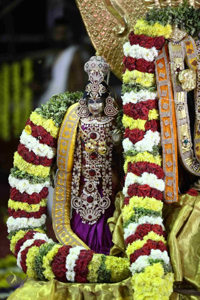 File:20161219 Photo 3357 1-m7bfAl5eeqv2aoSVZBaNQtxDHLaThPt.JPG