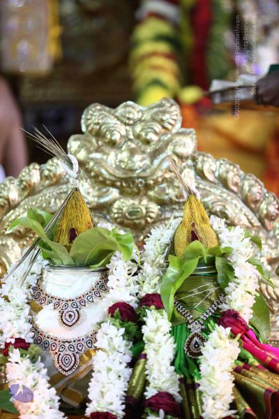 File:20161219 Photo 3367 1LH-dU3k3YWv4BEUIybURU8acXujkAwt1.JPG