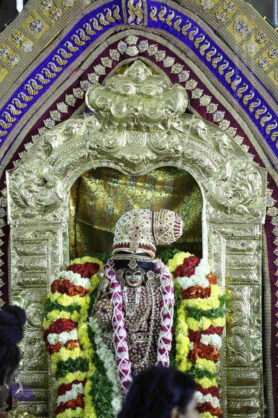 File:20161219 Photo 3400 18OxR1A8sCIE-ytxnU rw6IuZRFUwHfw3.JPG