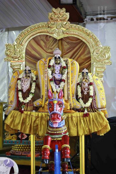 File:20161219 Photo 3426 1bX7H2n6qidqao6o Wiszuz3zQFldVcVE.JPG