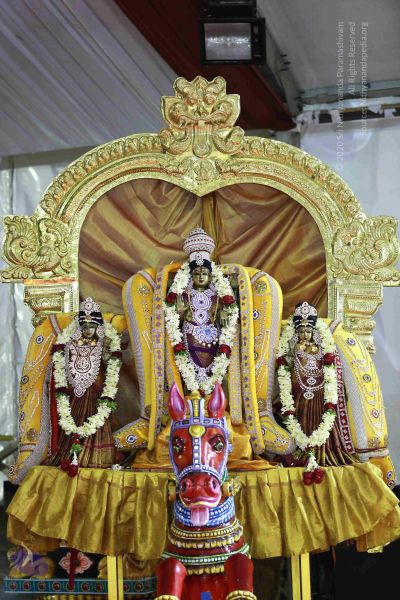 File:20161219 Photo 3428 1Ag4LbUqwZwjs915DS4a02cvK4iHDAbow.JPG