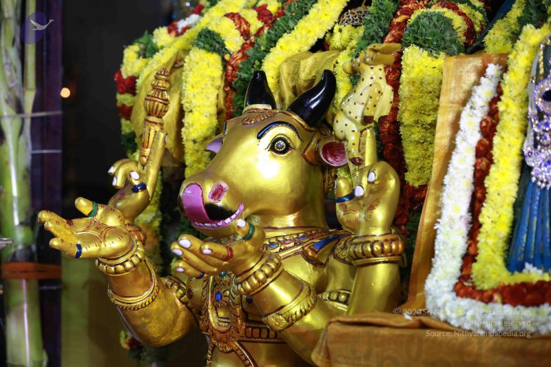 File:20161219 Photo 3431 1cEMXkFrnq4hR9SNI4gZApCpuVJ94axjV.JPG