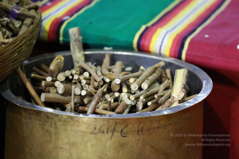 File:20161219 Photo 3437 1DcvOkZq63vX1 b7lxm2ZiF3fcgeLaMVz.JPG