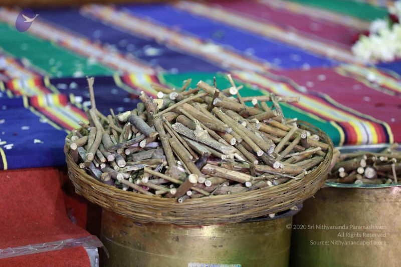 File:20161219 Photo 3438 1tURgFr3tUowJ5v0Nm4SUt1DDS4RmY1u7.JPG