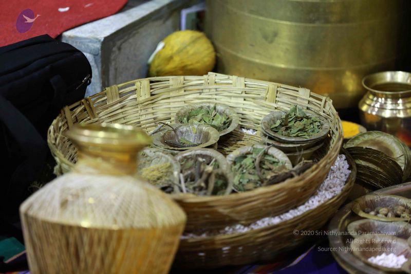 File:20161219 Photo 3440 1x5w4oTE84atfrpBwU5siszczKbNuPbnF.JPG