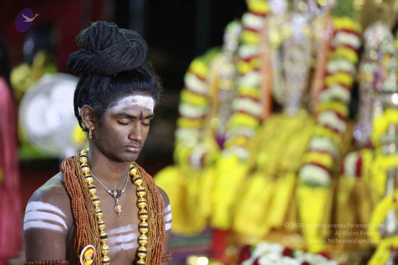 File:20161219 Photo 3454 1Qsp7wPQDjHwTcP6xiuwH8RaZv8-GKM-a.JPG