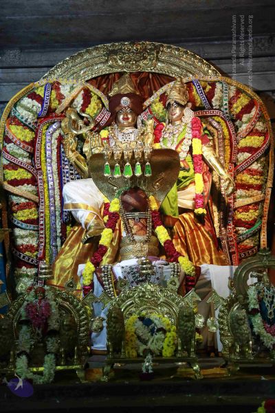 File:20161219 Photo 3496 1k6Q76qNKsfrrMEgvRGec1c7iJmL7uIYU.JPG