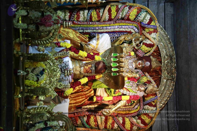 File:20161219 Photo 3497 1KYlyvOCj4NjWxS7aArjBM9YDpx-bQmta.JPG