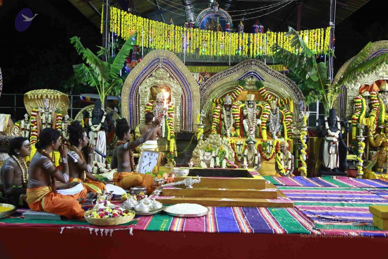 File:20161219 Photo 3509 1ivzpCw1y-pyxJPqdh2KqG8ZZEvrjqW D.JPG