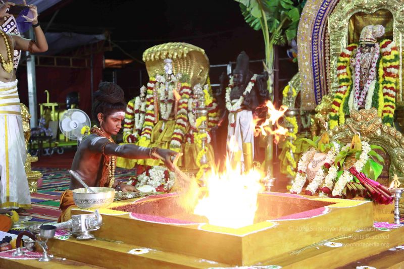 File:20161219 Photo 3528 1nXpRsEWJPBjAyhrEMdfy2rqdQxoxDSQk.JPG