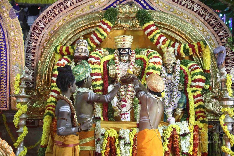 File:20161219 Photo 3548 15jjJ2wn-vVQkQCbIdjlr1aRF5iO2jupx.JPG