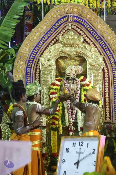 File:20161219 Photo 3550 14rrRsljgY8Vm7seHmNjTqfq0gRWIEOwW.JPG