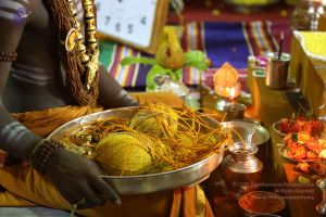 20161219 Photo 3592 15wrQa8 BIUsfYKDIckMXYnUzGWixaXJt.JPG