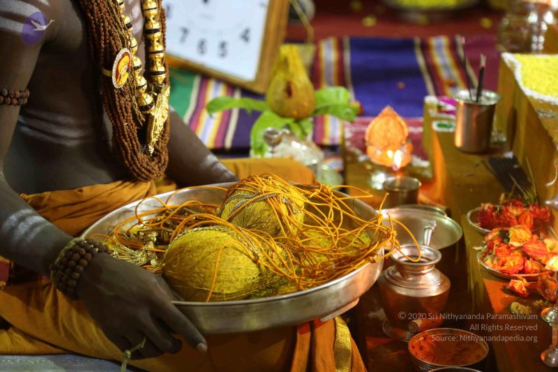 File:20161219 Photo 3592 15wrQa8 BIUsfYKDIckMXYnUzGWixaXJt.JPG