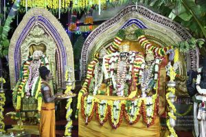 20161219 Photo 3698 1WR5EFxSfe8Nk6LhzW256ghgXexp1GpL9.JPG