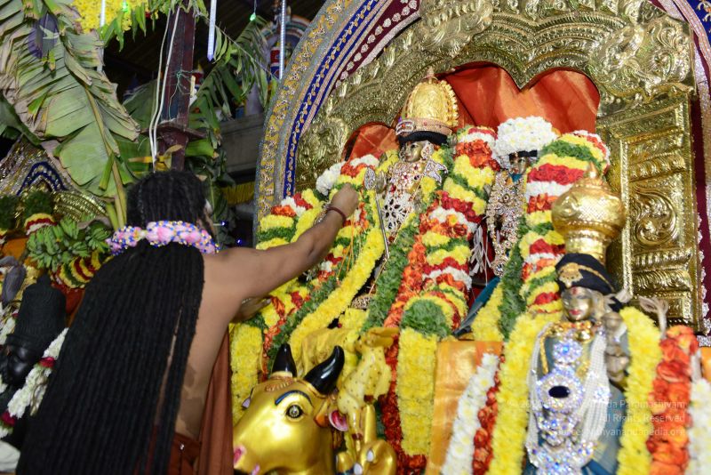 File:20161219 Photo 3780 1Z6aycGWPT-PSFV6FeyIjFLUy0h-0r sm.JPG