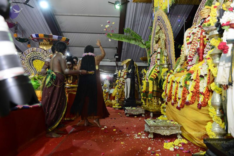 File:20161219 Photo 3799 1JBhls8K4m3lXGMjzZeI0 Wc6HzaSLXDe.JPG