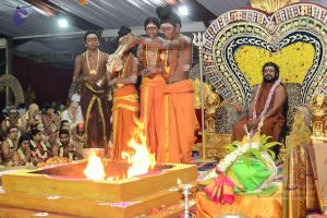 20161219 Photo 3826 1ZzpW1GdiUbVbHatc5mEsfwI1YSGPVqrj.JPG