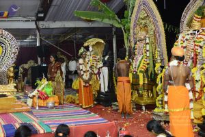 20161219 Photo 3854 1FitCxN0HeUNgV1JKfTg9EnGw7UlceveZ.JPG