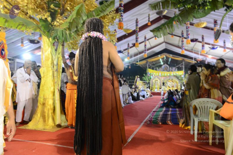 File:20161219 Photo 3894 1nMBI k7bLCetUsGoTivAMjFj2pZUH2R .JPG