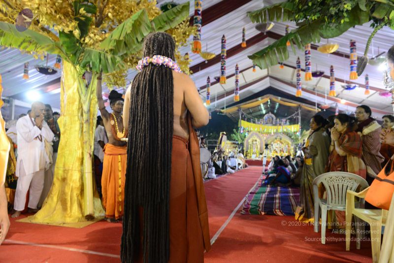 File:20161219 Photo 3896 1RZ-vWh3lIZ9Dgrz6X -fDLIqULcLwgku.JPG