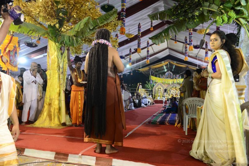 File:20161219 Photo 3902 1hvPh3Ho6okrpszeKEmwsHcGgiqpOgnFy.JPG