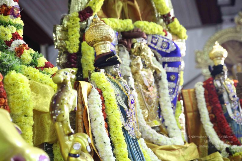 File:20161219 Photo 3934 1DGNyMsVTte-ZPNaNY24aUvhRig8BwPDP.JPG