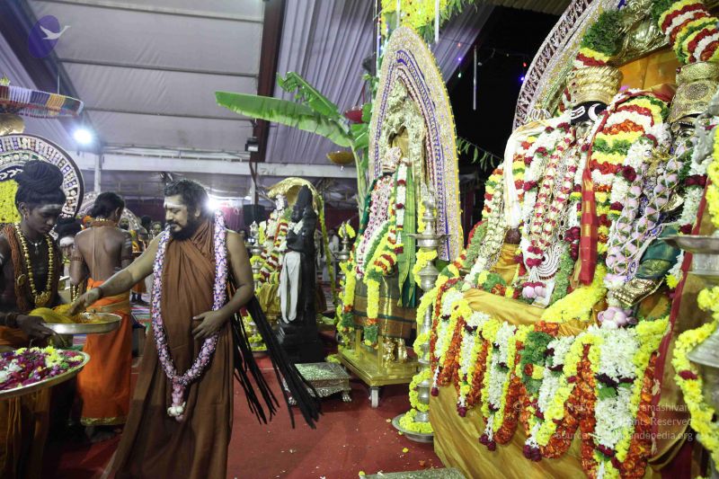 File:20161219 Photo 3946 14ec4L7ow5nv6Oj6femS0aIgTvlaO7nI4.JPG