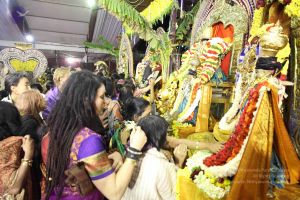 20161219 Photo 4067 1Y-H3FRB86WN5tFR2uiveomPmt13pxBMf.JPG