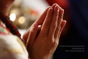 20161222 Photo 108 1ozOfy5tFShf0nRsxPr20H2CLIk8rnK2o.jpg