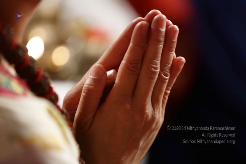 File:20161222 Photo 108 1ozOfy5tFShf0nRsxPr20H2CLIk8rnK2o.jpg