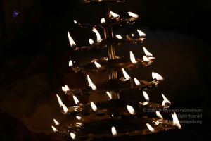 20161222 Photo 121 1PGks9WVsW7NXiWxEv5JB2Yx7rc5L-DL9.jpg