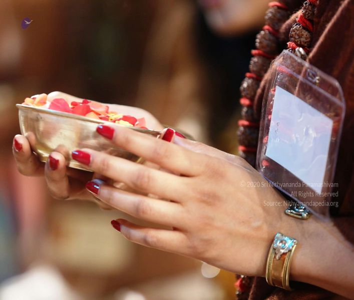 File:20161222 Photo 134 1PWx4incdWmGHzPO1PXO7V2E Hd8czASh.jpg