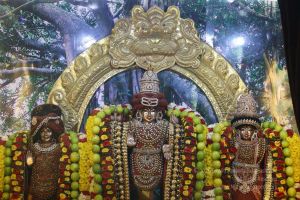 20161222 Photo 151 1xS dQZ94hWZG5Da0UXVxuYmc1Sb3e hW.jpg