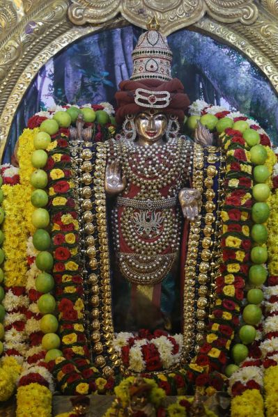 File:20161222 Photo 152 1J6jQsqbkLprRxIdQuY9I7h9ElF lWc-v.jpg