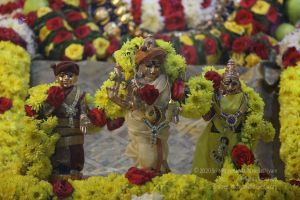 20161222 Photo 156 10bFu5nl095h4fZdCKqN1NOcxXxHTRzb .jpg