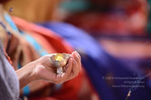 20161222 Photo 185 1tOZakOTMcPyBSPVP6MP-pWAKQSJ3PazZ.jpg