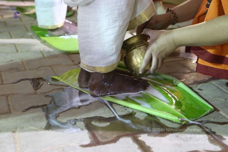 File:20161222 Photo 234 1LSRkfRwpjd35rlqZzybrzIOcz2NHko W.jpg