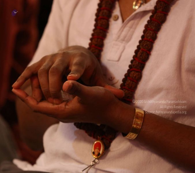 File:20161222 Photo 251 1wcaCgPGe9ItfEPclc2imeKGpJE48M8rc.jpg