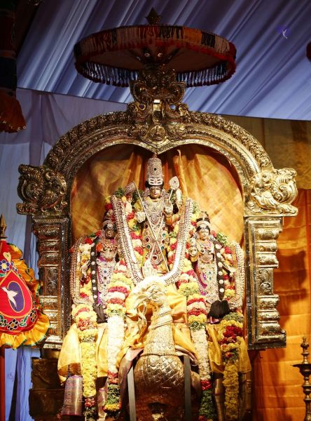 File:20161222 Photo 278 1DdchC9RkWA8zztP9s8gxnhxjZ1DFszKj.jpg