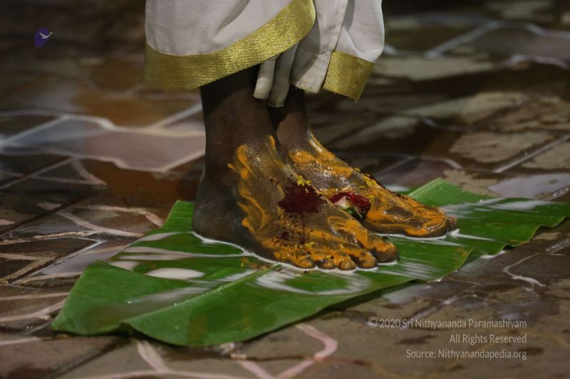 File:20161222 Photo 278 1XPerugGKnd5oPoTUp-HJNqOUDTpqxZ2K.jpg