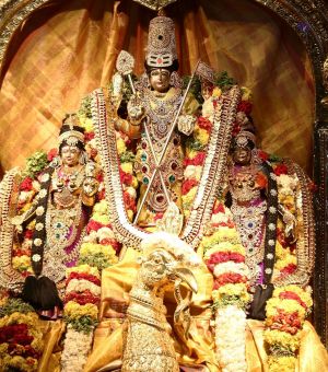 20161222 Photo 279 1BNjdaSnvTtCn41YI0DtJ-KfYBLbEEqu7.jpg