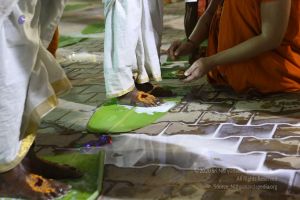 20161222 Photo 283 1B2oMsafJpDuENSXLeoi7rg0czTZT6fsI.jpg