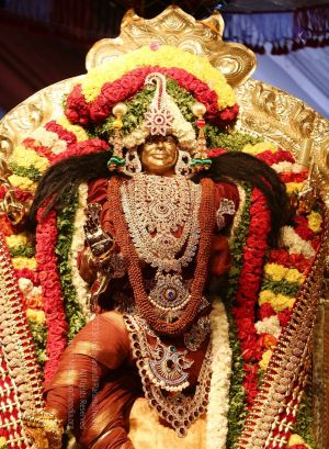 20161222 Photo 288 1oy02MjSTpSM5NtArizDN664sztmQ2MLx.jpg